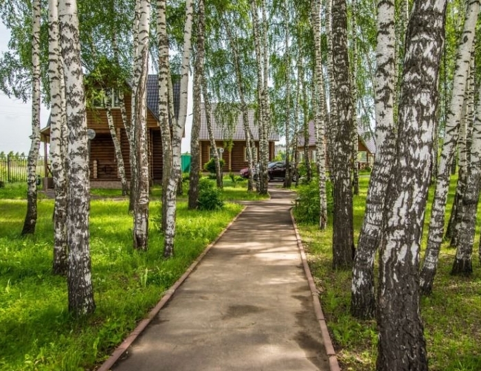 Апартаменты (Коттеджи) - Дом отдыха «Атлас Парк Отель»